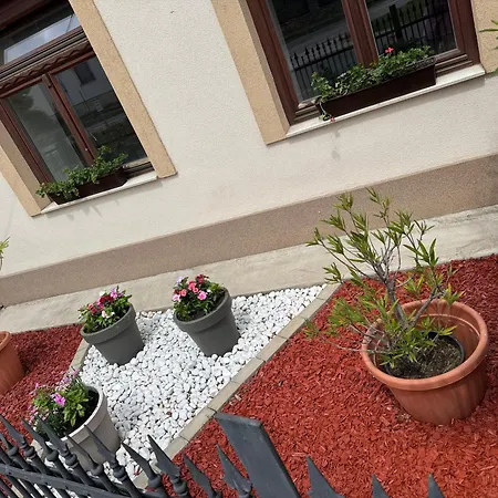 La Casa De Nido - Mini