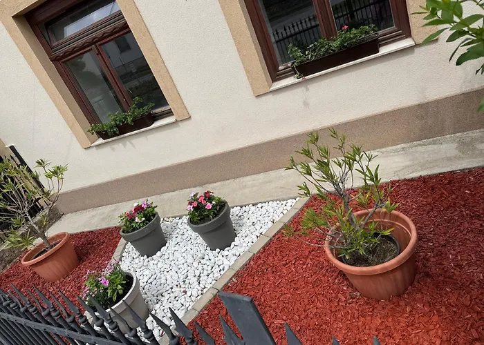 La Casa De Nido - Mini